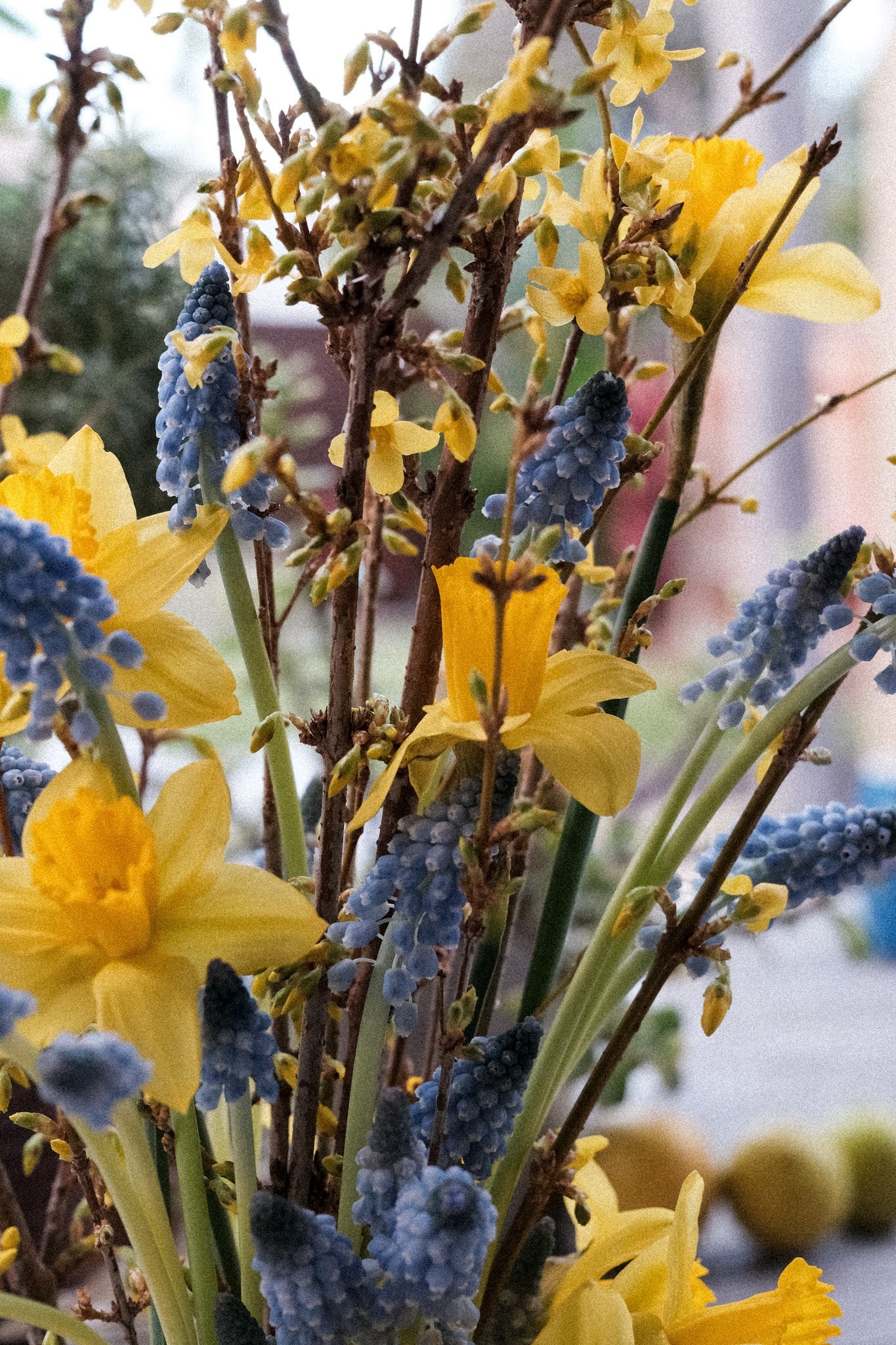 "records" - special projects and archival studies